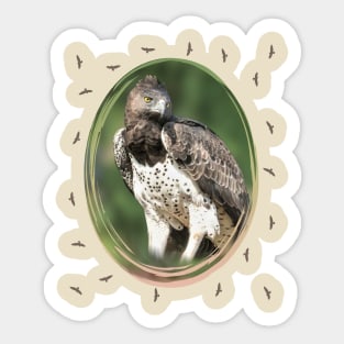 Martial Eagle - Eagle - Bird of prey - Africa Sticker